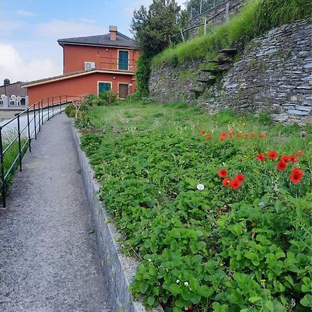 La Finestra Sul Golfo - Citra 010018-Lt-0033 - Villa Cogorno Eksteriør billede