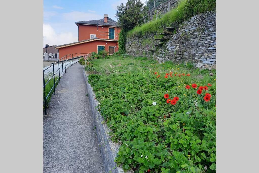 La Finestra Sul Golfo - Citra 010018-Lt-0033 - Villa Cogorno Eksteriør billede
